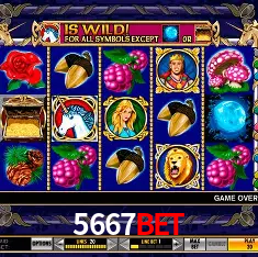5667bet Rio de Janeiro - Bonus Terms